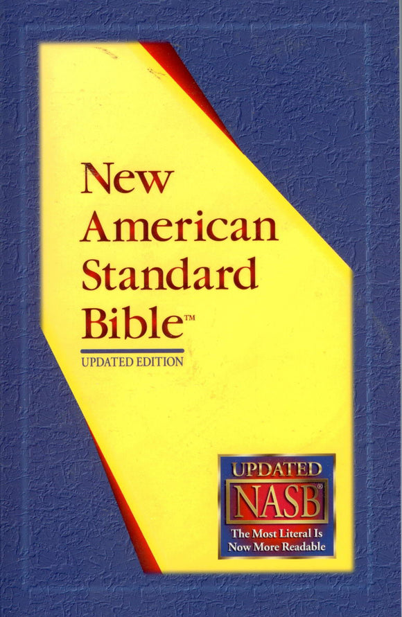 BR-008 - Holy Bible paperback edition