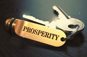 Prosperity Truth Packet SPECIAL