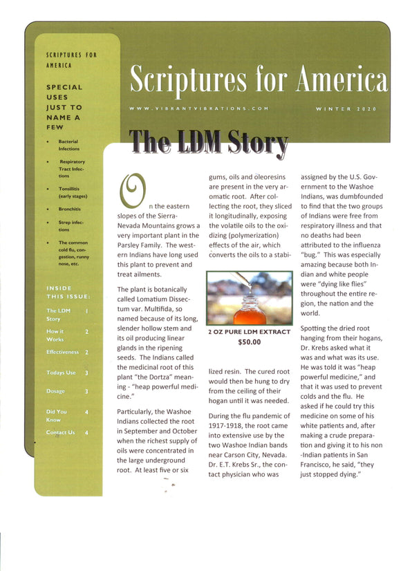 The LDM Story Pamphlet
